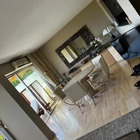 Appartement La Mirandole 3 Pieces Vue